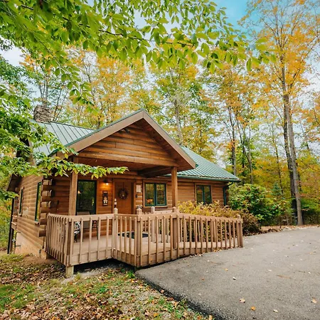 Ferngully Creek Cabins